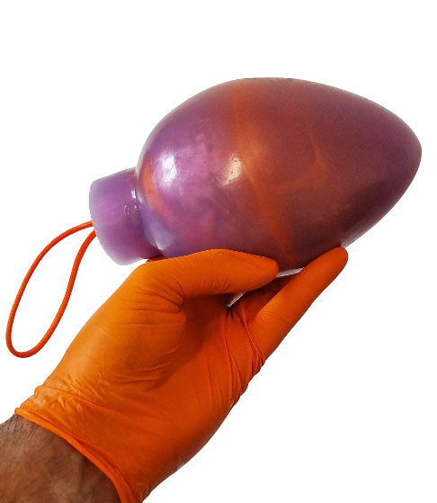 (image for) Ostrich Birthing Egg